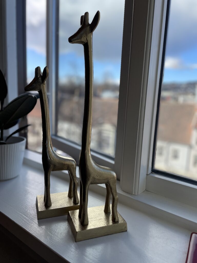 Valget av gjenbruk var suverent mitt eget 5