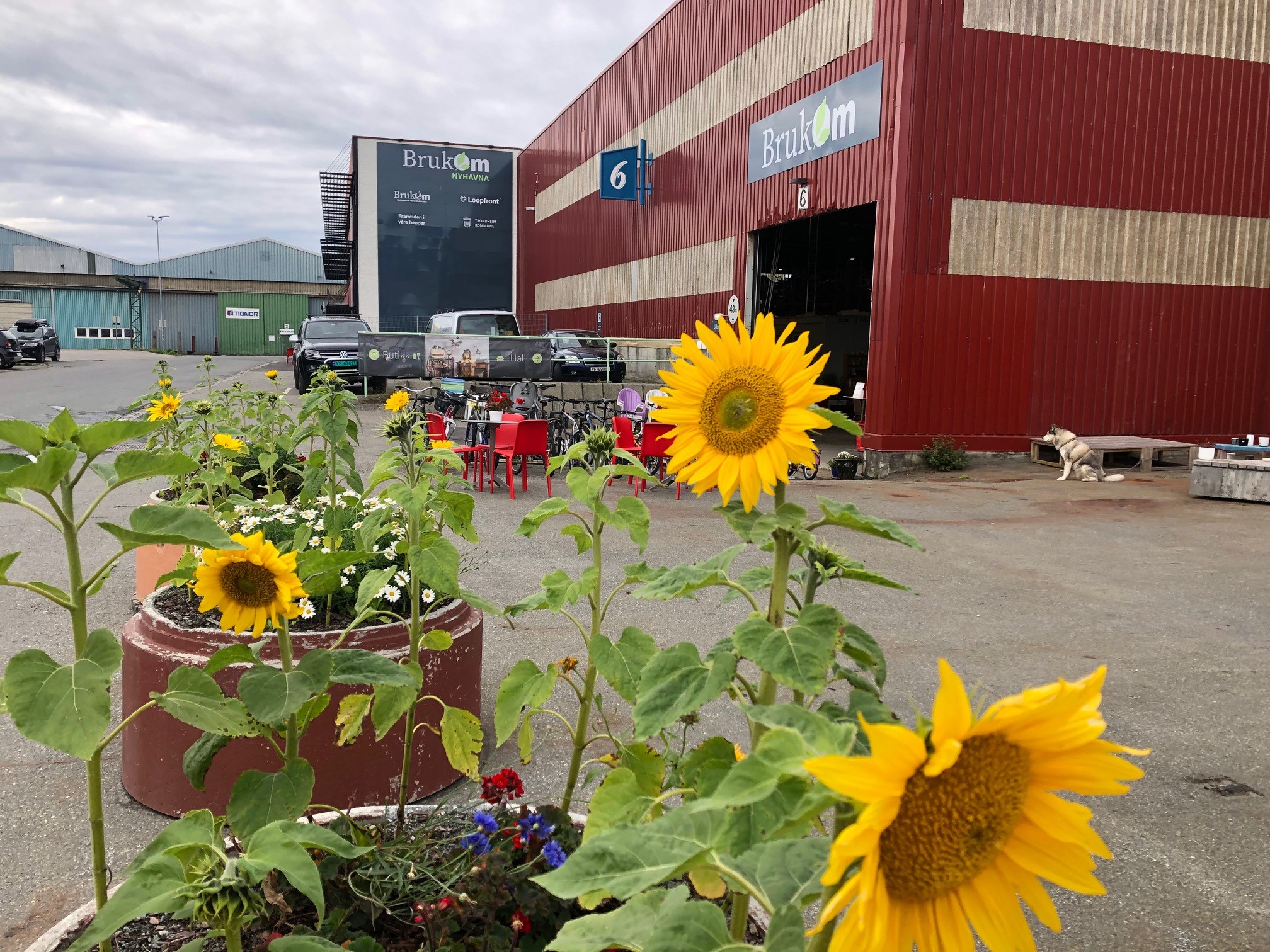 BrukOm markedsdag og auksjon 2024